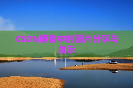 CSDN博客中的图片分享与展示